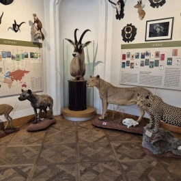 Széchenyi Zsigmond Kárpát-medencei Magyar Vadászati Múzeum, Hatvan - Belső