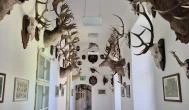 Széchenyi Zsigmond Kárpát-medencei Magyar Vadászati Múzeum, Hatvan