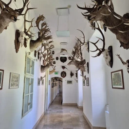 Széchenyi Zsigmond Kárpát-medencei Magyar Vadászati Múzeum, Hatvan - Belső