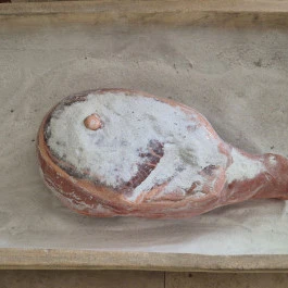 Széchenyi Zsigmond Kárpát-medencei Magyar Vadászati Múzeum, Hatvan - Belső