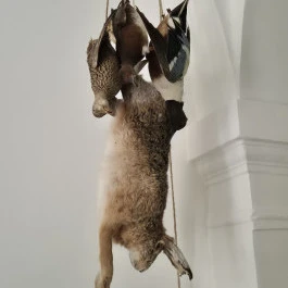 Széchenyi Zsigmond Kárpát-medencei Magyar Vadászati Múzeum, Hatvan - Belső