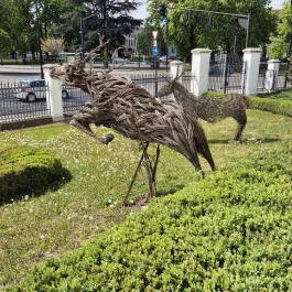 Széchenyi Zsigmond Kárpát-medencei Magyar Vadászati Múzeum, Hatvan - Külső kép