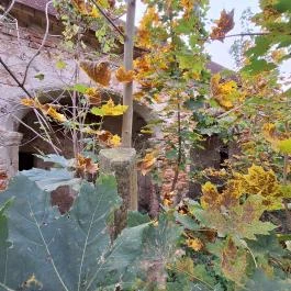 Szegedy-kúria, Dabronc - Külső kép