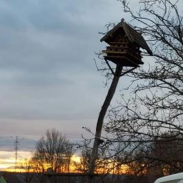 Székely Tanya Étterem & Rendezvényközpont Rönök - Egyéb