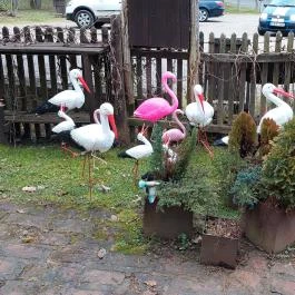 Székely Tanya Étterem & Rendezvényközpont Rönök - Egyéb