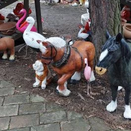 Székely Tanya Étterem & Rendezvényközpont Rönök - Egyéb