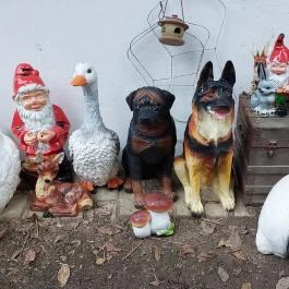 Székely Tanya Étterem & Rendezvényközpont Rönök - Egyéb