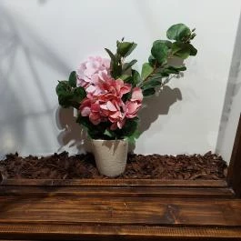 Székely Tanya Étterem & Rendezvényközpont Rönök - Egyéb