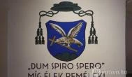 Székesfehérvári Egyházmegyei Múzeum Székesfehérvár - Egyéb
