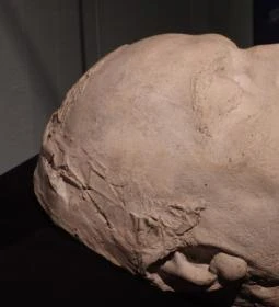 Székesfehérvári Egyházmegyei Múzeum