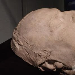 Székesfehérvári Egyházmegyei Múzeum, Székesfehérvár - Egyéb