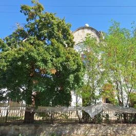 Szeleczky-kastély, Boconád - Külső kép