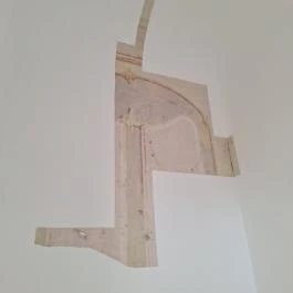 Szeleczky-kastély, Boconád - Egyéb