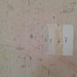 Szeleczky-kastély, Boconád - Egyéb