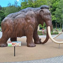 Szeleta Park Látogatóközpont Miskolc - Egyéb