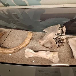 Szeleta Park Látogatóközpont Miskolc - Egyéb