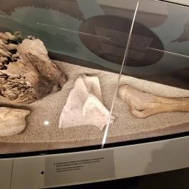 Szeleta Park Látogatóközpont Miskolc - Egyéb