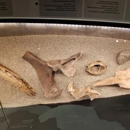 Szeleta Park Látogatóközpont Miskolc - Egyéb