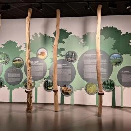 Szeleta Park Látogatóközpont Miskolc - Egyéb