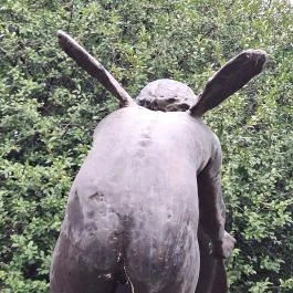 Szélfiú Nagykőrös - Egyéb