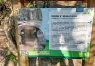 Szelim-barlang Tatabánya