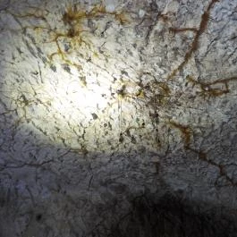 Szemlő-hegyi barlang Budapest - Egyéb