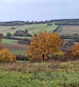 Szent András plébániatemplom