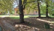 Szent Bernát Arborétum Nagyvenyim - Külső kép