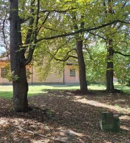 314. legjobb látnivaló: Szent Bernát Arborétum