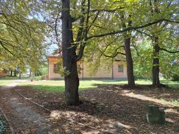 Szent Bernát Arborétum Nagyvenyim