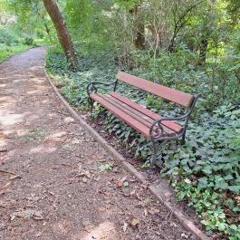 Szent Bernát Arborétum, Nagyvenyim - Egyéb