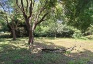 Szent Bernát Arborétum Nagyvenyim