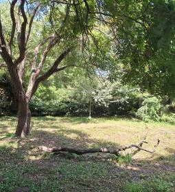 Szent Bernát Arborétum