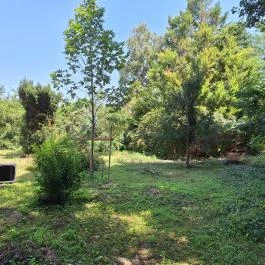 Szent Bernát Arborétum, Nagyvenyim - Egyéb