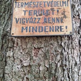 Szent Bernát Arborétum, Nagyvenyim - Egyéb