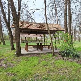 Szent Erzsébet-kilátó Öttömös - Külső kép