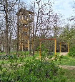 Szent Erzsébet-kilátó