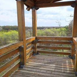 Szent Erzsébet-kilátó Öttömös - Egyéb