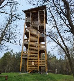 Szent Erzsébet-kilátó