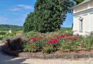 Szent Gaál Kastély és Borház Zomba