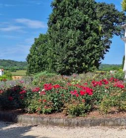 Szent Gaál Kastély és Borház