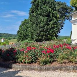 Szent Gaál Kastély és Borház Zomba - Külső kép