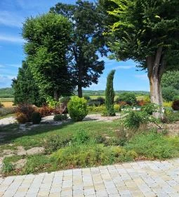 Szent Gaál Kastély és Borház