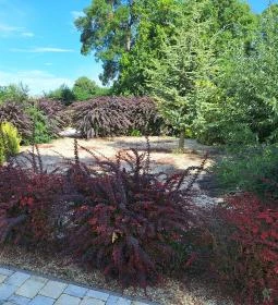 Szent Gaál Kastély és Borház