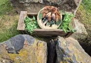 Szent-Györgyi Albert emlékhely Terény