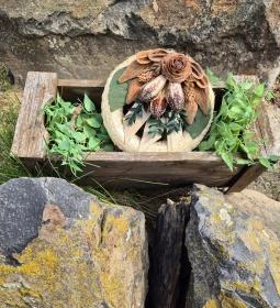 Szent-Györgyi Albert emlékhely