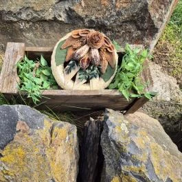 Szent-Györgyi Albert emlékhely Terény - Külső kép