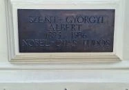 Szent-Györgyi Albert-szobor Szeged