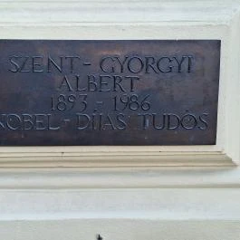 Szent-Györgyi Albert-szobor Szeged - Egyéb
