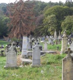 Szent István-kápolna